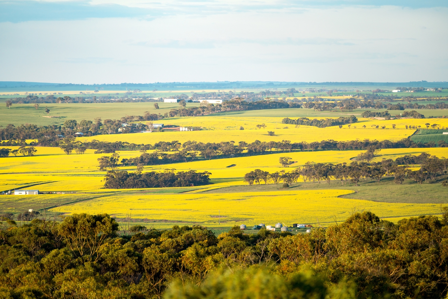 Industrial Safety Equipment York, WA
