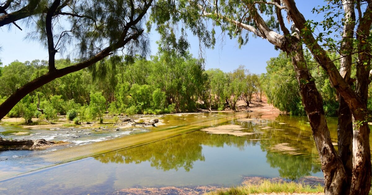 An asphalt and concrete river crossing cutting through a wide, shallow river surrounded by dense green trees and foliage in Roper Bar, Australia.